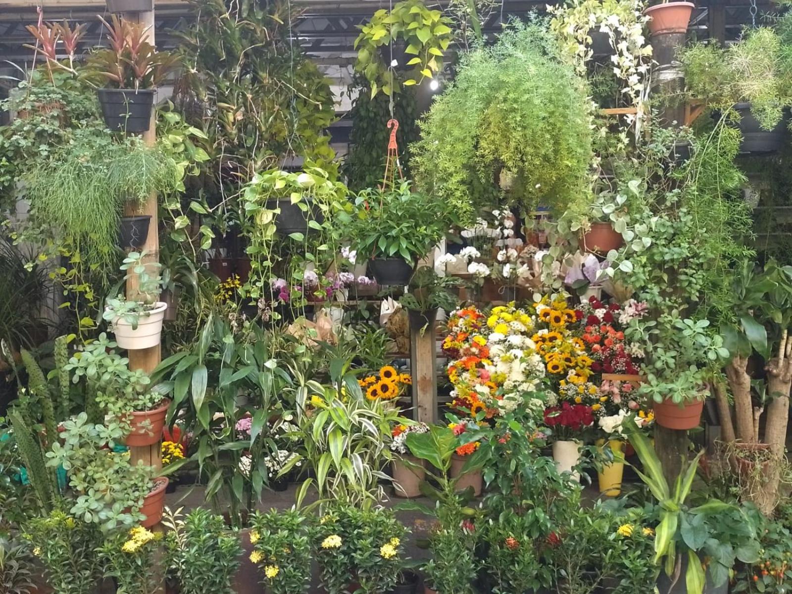 Apartamento Parque Jardim Europa Rio de Janeiro Exterior foto