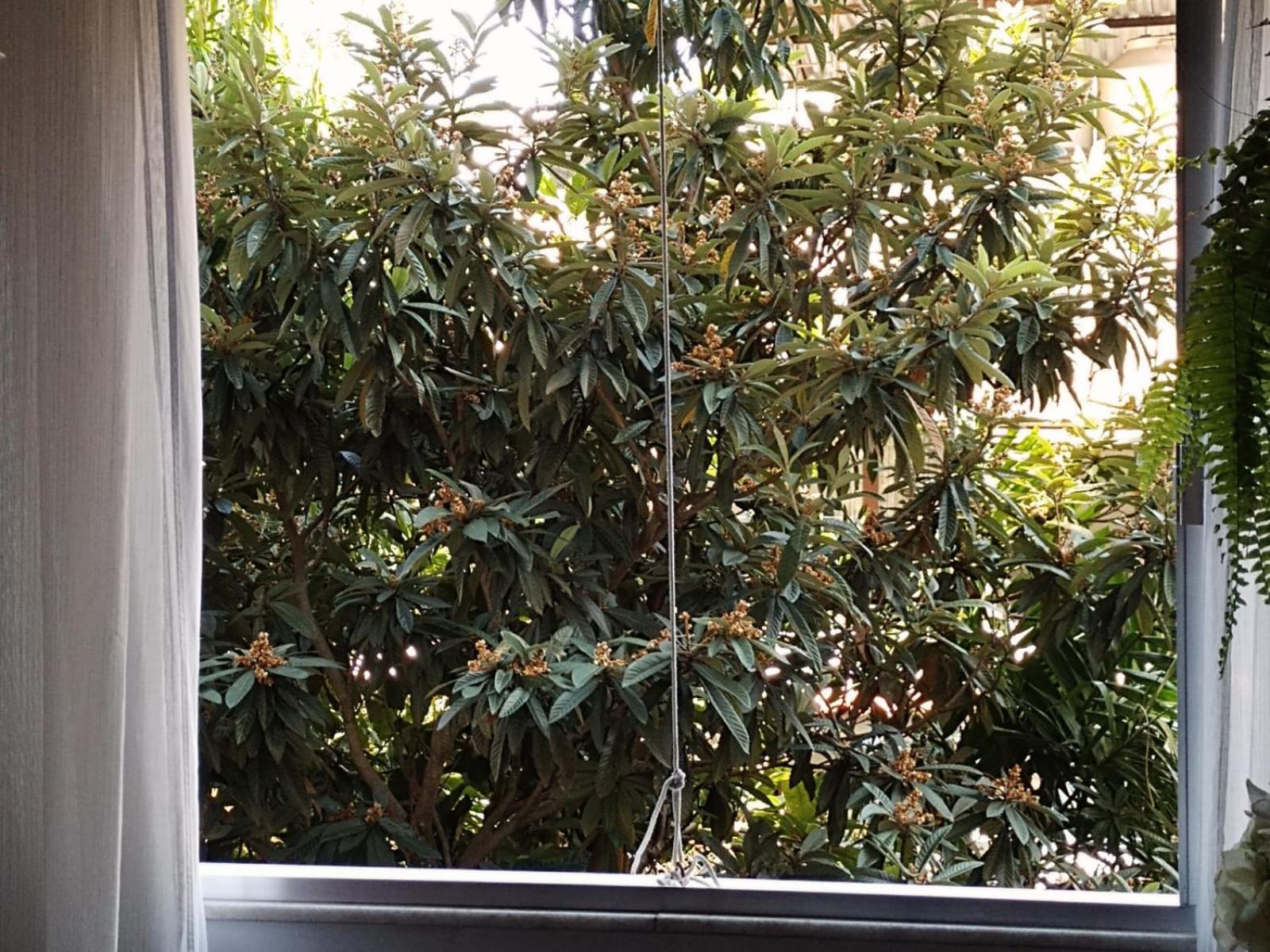 Apartamento Parque Jardim Europa Rio de Janeiro Exterior foto